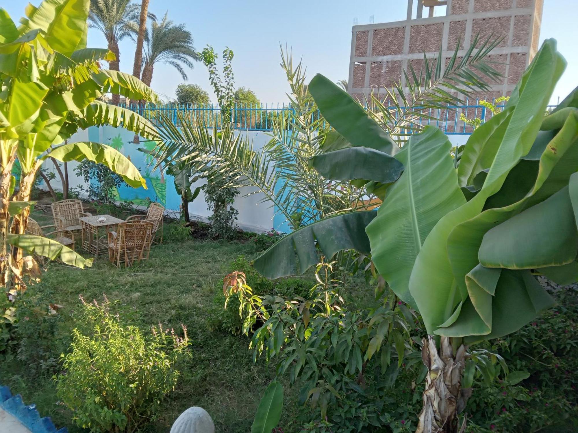 Noby Guest House Луксор Экстерьер фото